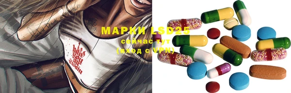 дживик Бронницы