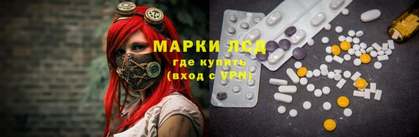 спайс Бородино