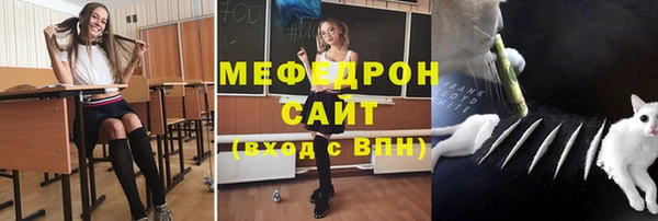 дживик Бронницы