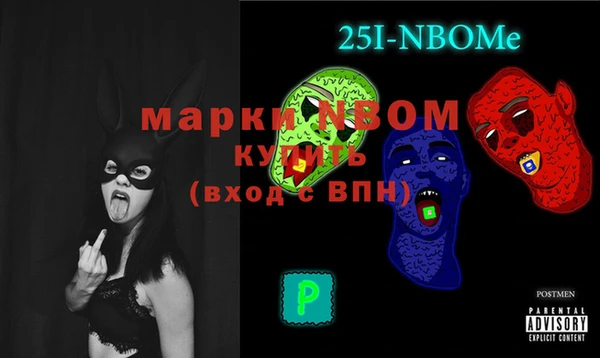 амф Верея