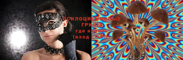 амф Верея