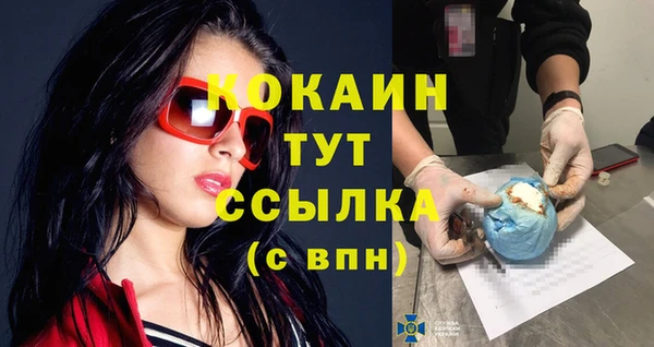 дживик Бронницы