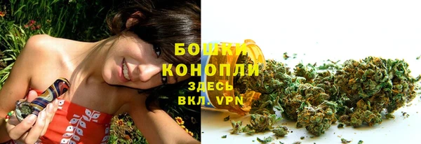 дживик Бронницы