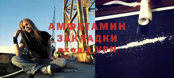 дживик Бронницы
