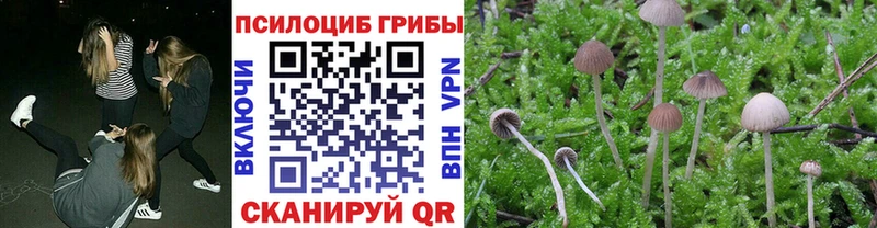 наркота  Мурманск  Псилоцибиновые грибы ЛСД 